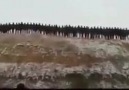 Yeminimiz var dönmeyiz!Külleniriz ama sönmeyiz!