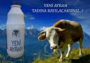 YENİ AYRAN KAMERA ARKASI