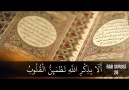 Yeni Video!QLBLR ANCAQ ALLAHI ANMAQLA RAHATLIQ TAPAR Musa Hoca