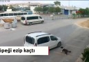 YerAntalyaAraç plakası 07 JN 433Bu alçak bulunup cezalandırılmalı.