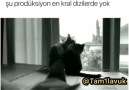 Yıkıkları etiketliyoruz