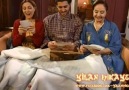  Yılan Hikayesi  Bir Kadehte Memoli İçin