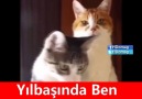 Yılbaşında Ben