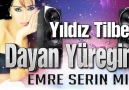 Yıldız Tilbe - Dayan Yüreğim(Emre Serin Mix)