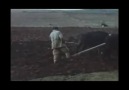 1960 yılında Sinop'ta çekilmiş bir video.. nadir bulunanlardan..