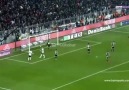 YILIN GOLÜRICARDOQUARESMAFENER QUARESMA SEVER
