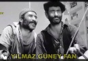 Yılmaz Güney Fan - Yılmaz Güney&Filmleri hayal ürünü değil gerçek hayatta yaşanmış hikayelerdir...