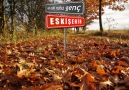 Yine aylardan kasım...Eskişehirde sonbahar...Tual söylüyor...!