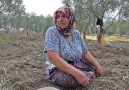 Yırca'daki sessiz katil: Hava kirliliği