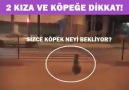 Yok artık dedirten bir video..