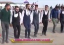 Yok böyle bi halay