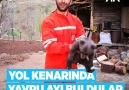 Yol kenarında buldukları yavru ayıyı sütle beslediler