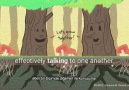 Yol The Way - Ağaçların Gizli Dili The Secret Launguage Of Trees Facebook