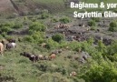 Yöremizin sevilen türkülerinden LOY ŞIVONO