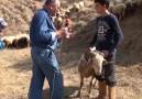 Yörük Çocukları Her Şeyin Farkında