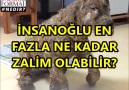 yorumlarınız nedir