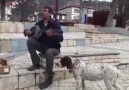 Yorumsuz - Düğünler ve Halk Oyunları