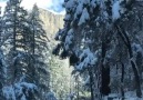 Yosemite National Park California USA @edraderphotography