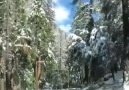 Yosemite Ulusal ParkıKaliforniya ABD