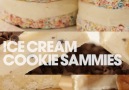 You Can Do Better: Ice Cream Cookie Sammies