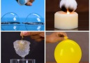 You don&need experience to try these cool experiments!