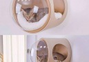 Your cat needs this floating bed.