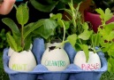 Your kids will get green thumbs in no time with these adorable garden crafts