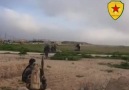 YPG'NİN TIL BIRAK'I ÇETECİLERDEN TEMİZLEME OPERASYONU (YENİ)