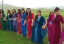 Yüksekova Düğünleri - Govenda Kurdi Dawet Kurdİ