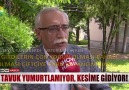 YUMURTA KRİZİ KAPIDA!