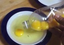 Yumurta Sarısını En Kolay Ayırma Yöntemi