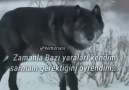 Yüreğim Mavi - hiç kimseyi kırmadım ben...