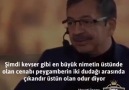 Yüreğine sağlık hocam - Muhammed Salimoglu