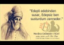 Yüreğinize İşleyecek Mevlana Sözleri...