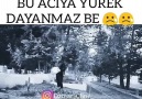 Yürek Sızım le 6 fvrier