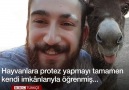 Yürüyemeyen hayvanlara özgürlük hediye eden Mardinli genç...