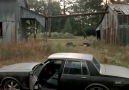 Yürüyen Ölüler - The Walking Dead 3. Sezon 15. Part 3 izle