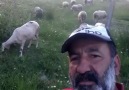 Yusuf Sarıdoğan - Yusuf Sarıdoğan was live.