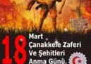 Yuvasız Kuşlar - Bu toprakların üstünde huzurla...