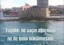 Yuvasız Kuşlar - Yaşlılık ne saçın ağarması ne de belin...