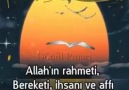 Yuvasız Kuşlar - Yenigüne Bismillah..