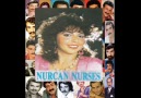 Yuvasız Kuş...( NURCAN NURSES )