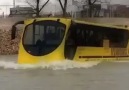 yüzen otobüs