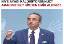 YÜZSÜZLER!