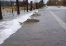 Zafere Giden Her Yol Kutsaldır-ÇOK DOĞRU BİR SÖZMÜŞ.