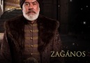 Zağanos Paşa Mehmedin lalası.