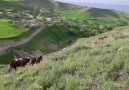 Zaten bu gurbetlik yedi bizleri - Doğunun Yıkılmaz Kalesi Erzurum