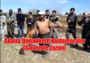 Zazaca Müzikler - Adana Doğankent Budamacılar (Govende Zazun) Facebook