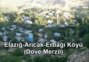 Zazaca Müzikler - Elazığ-Arıcak-Erbağı Köyü (Dove Merzil) Facebook