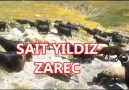 Zazaca Müzikler - Sait Yıldız - Zarec Facebook